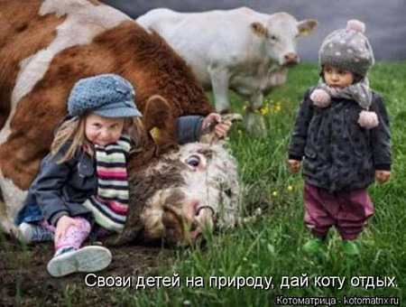 дети и собака