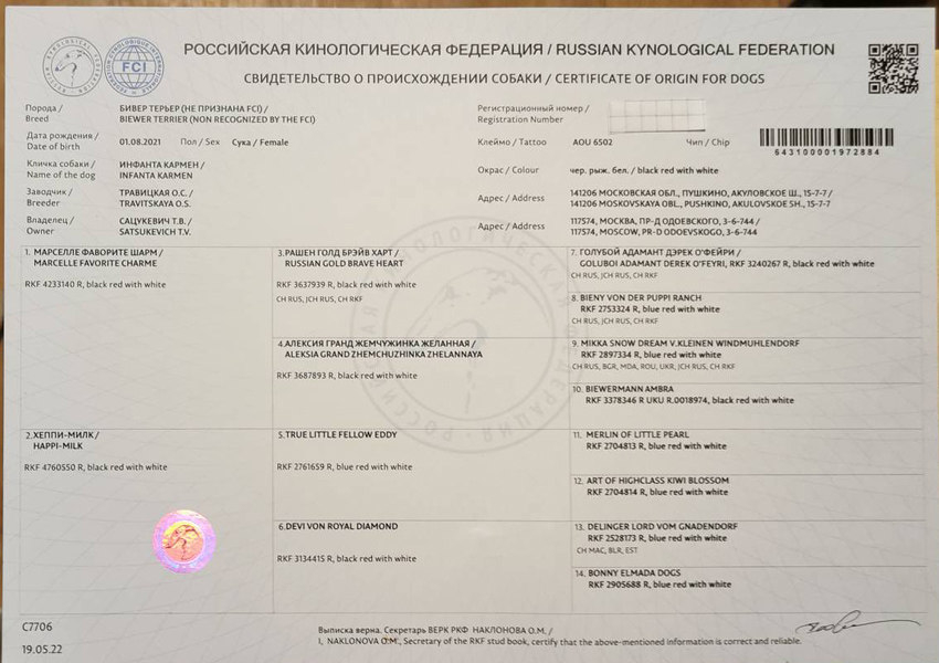 бивер йорк